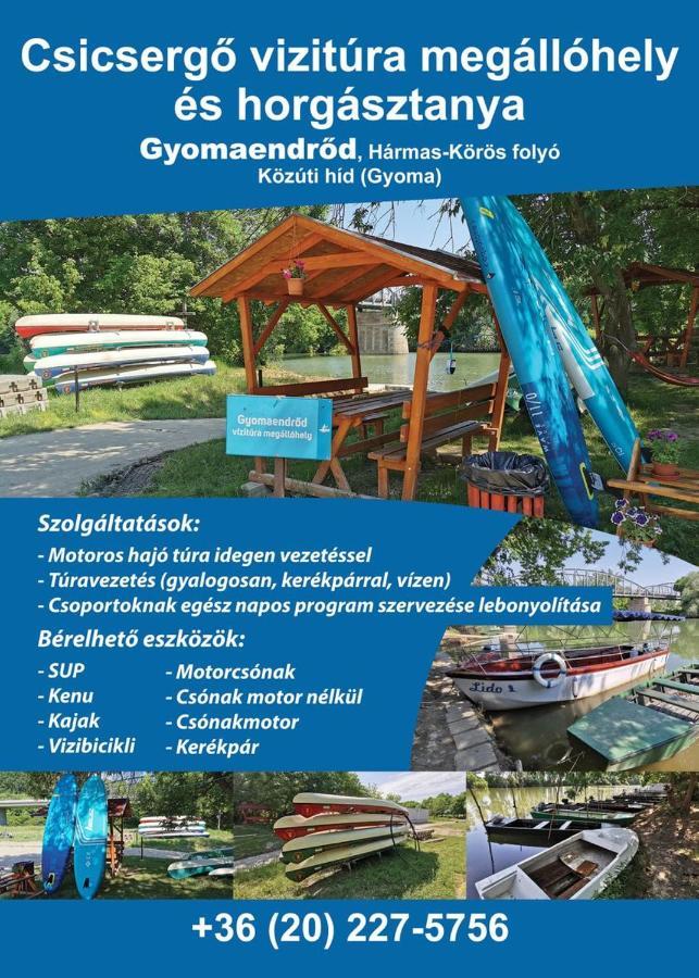 Gyomaendrőd Zsuzsanna Vendeghaz酒店 外观 照片