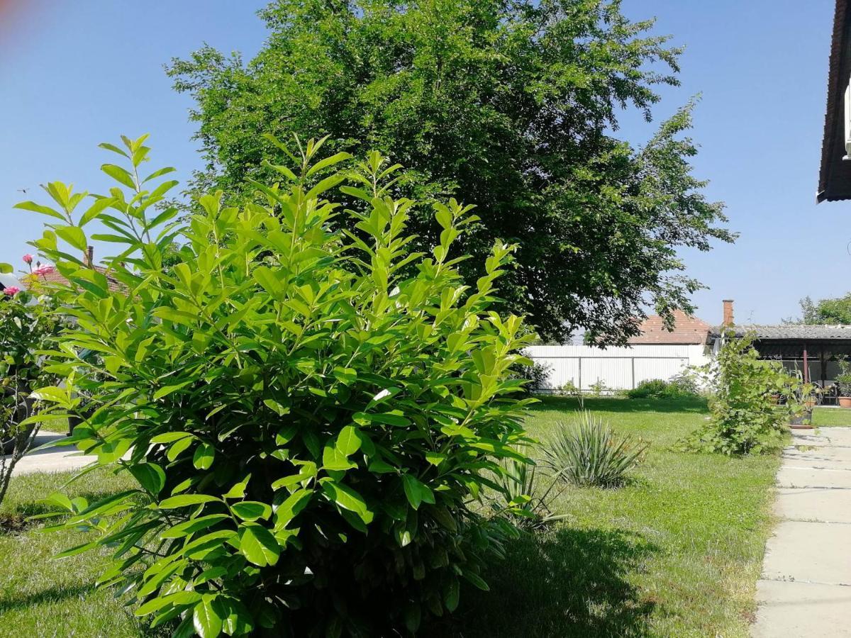 Gyomaendrőd Zsuzsanna Vendeghaz酒店 外观 照片